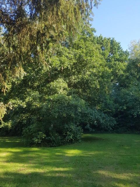 Lodge 'De Groene Parel' Schoorl Eksteriør billede